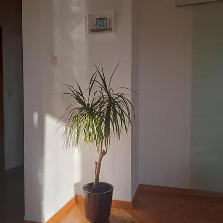 Katarina * بودْسْتغانا